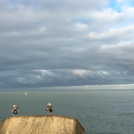 Sea And View With Double Terrace Flat C *